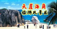 美女被鸡巴艹的爽爆的视频海南三亚-天崖海角旅游风景区