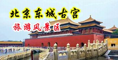 我要大鸡巴操我中国北京-东城古宫旅游风景区